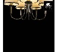 Подвесная люстра Arte Lamp Alice A3579LM-5AB