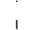 Подвесной светильник Arte Lamp Pilon-Gold A1536SP-1BK