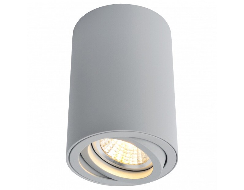 Накладной светильник Arte Lamp Sentry A1560PL-1GY