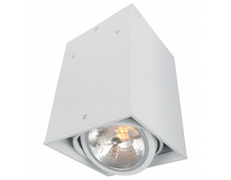 Накладной светильник Arte Lamp Cardani A5936PL-1WH