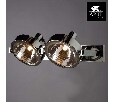Светильник на штанге Arte Lamp Faccia A4507PL-2CC