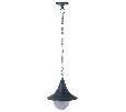 Подвесной светильник Arte Lamp Malaga A1085SO-1BG
