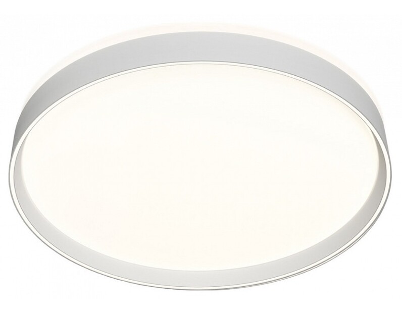 Накладной светильник Denkirs PLATO DK6511-WH/1