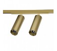 Светильник на штанге Denkirs SHINE SPOT DK5742-SB