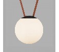 Накладной светильник Denkirs BELTY ORB DK5553-BK