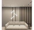 Светильник на штанге Denkirs SMART SPOT DK8041-BW+BK