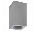 Накладной светильник Denkirs DK5002 DK5002-CE