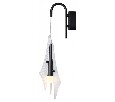 Бра Odeon Light Afalina 5442/6WLA