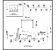 Подвесная люстра Odeon Light Saga 5088/8A