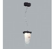 Подвесной светильник Odeon Light Foros 5438/12L