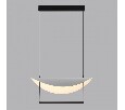 Подвесной светильник Odeon Light Next 7015/20L