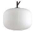 Подвесной светильник Odeon Light Roofi 4754/1
