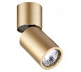 Накладной светильник Odeon Light Duetta 3895/1C