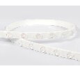 Светодиодная лента мини фокусирующая SWG-WL236, SMD2835, 36led/m, 14Вт/м, 24В, 3000K, 15°, IP67