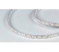 Светодиодная лента DSG 2835 W 120L-V24-IP65, 6000K, 120 LED, 9,6 W/m, LUX