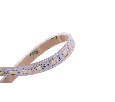 Светодиодная лента 5050, 60 LED/м, 14,4 Вт/м, 12В , IP68, Цвет: Холодный белый, SWG560-12-14.4-W-68-М