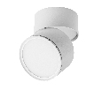 Светильник накладной Acuto  Acuto Lightstar 215886