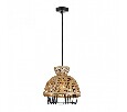 Подвесной светильник Arte Lamp Woodstock A7070SP-1BK