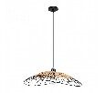 Подвесной светильник Arte Lamp Woodstock A7061SP-1BK