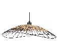 Подвесной светильник Arte Lamp Woodstock A7061SP-1BK