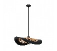 Подвесной светильник Arte Lamp Woodstock A7059SP-1BK