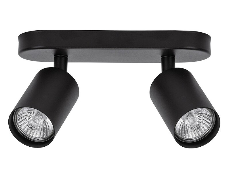 Спот Arte Lamp Aquarius A3226PL-2BK