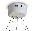 Подвесной светильник Freya Rain FR5546PL-L60W