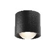 Потолочный светильник Technical Lens C217CL-15W3K-B