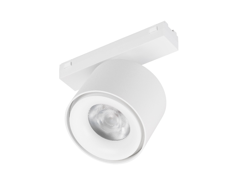Светильник MAG-VIBE-POINT-R75-10W Day4000-MIX (WH, 24 deg, 48V, DALI) (Arlight, IP20 Металл, 5 лет)