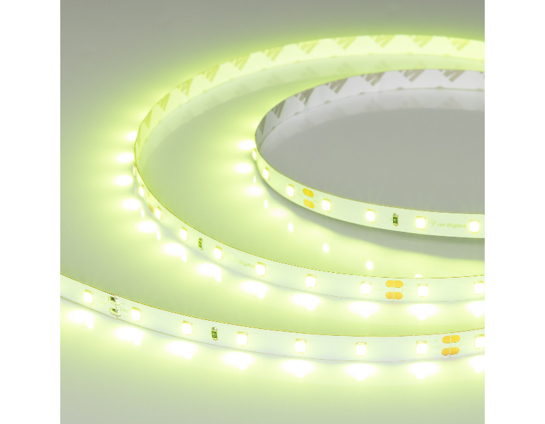 Лента RT-A60-8mm 24V Spring Green (4.8 W/m, IP20, 5m) (Arlight, -)