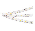 Лента герметичная RTW-PS-A80-12mm 24V Warm2400 (4.8 W/m, IP67, TWP100, 5m) (Arlight, -)