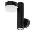 Светильник на штанге Arte Lamp Budapest A2362AL-2BK