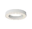 Потолочный светильник Technical Lua C093CL-36W3K-W