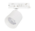 Светильник LGD-DYKE-4TR-R100-36W Day4000 (WH, 38 deg, 230V) (Arlight, IP20 Металл, 5 лет)