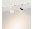 Светильник SP-PLURIO-TRACK-4TR-R77-9W Day4000 (WH-WH, 36 deg, 230V) (Arlight, IP20 Металл, 3 года)