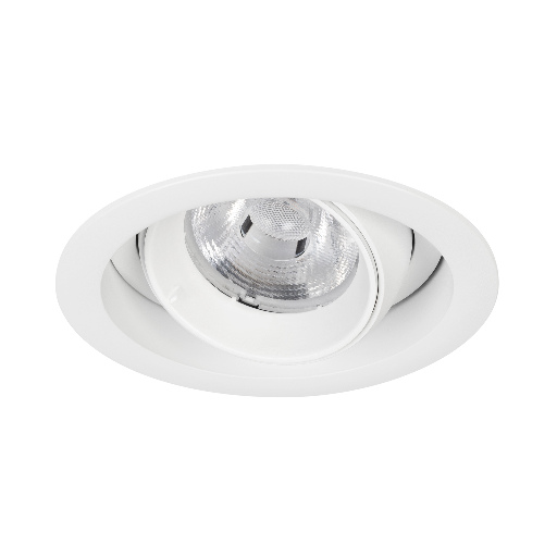 Светильник MS-VORTEX-BUILT-R110-20W Day4000 (WH-WH, 40 deg, 230V) (Arlight, IP20 Металл, 5 лет) 057754
