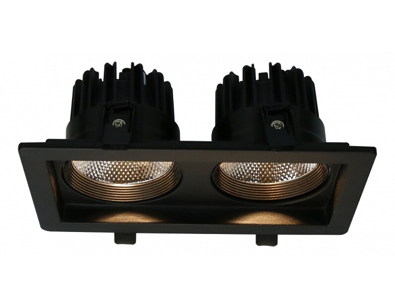 Встраиваемый светильник Arte Lamp Privato A7007PL-2BK