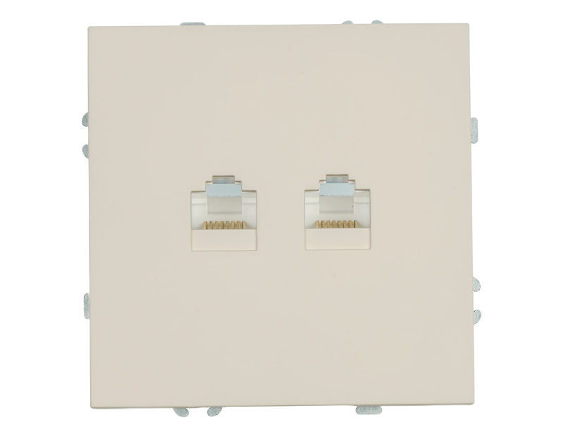 Розетка компьютерная 2-местная RJ-45 (механизм), STEKKER, серия Эмили, RST00-5111-08, кашемир, soft touch