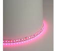 Светодиодная LED лента Feron LS501, 120SMD(5050)/м 11Вт/м 24V 5000*10*1.5мм RGB IP20