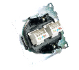 Розетка компьютерная 2-местная RJ-45 (механизм) ,STEKKER ,GLS00-7109-05, серия Катрин, черный