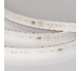 Лента герметичная DMX-PS-B70-14mm 24V RGBW-Day-PX7 (17 W/m, IP67, 5060, 5m) (Arlight, CRI>90)