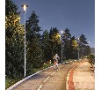 Светильник ALT-MASAR-50W Day4000 (BK, 150x30 deg, 230V) (Arlight, IP65 Металл, 5 лет)
