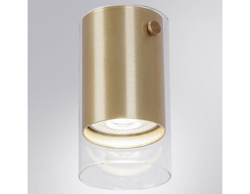 Накладной светильник Arte Lamp Lazio A5365PL-1SG