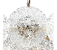 Lightstar 799083 Люстра