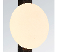Lightstar 810587 Бра
