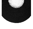 Lightstar 810567 Бра