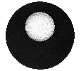 Lightstar 810567 Бра