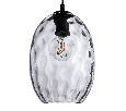 Lightstar 806121 Cветильник