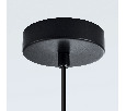 Lightstar 806114 Cветильник