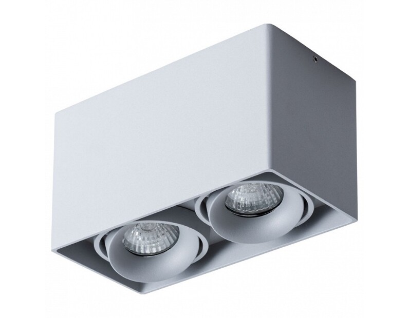 Накладной светильник Arte Lamp Pictor A5654PL-2GY